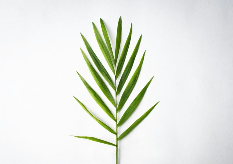 Parlor Palm Care: The Chillest Houseplant That Actually Wants to Hang Out With You