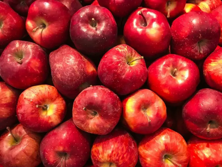 6 Apple Detox Juice Recipes to Try (That Actually Taste Good)